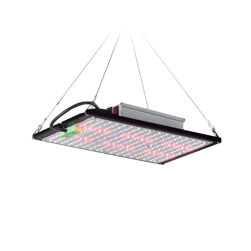 Led Grow Light - LED量子ボード育成ライト フルスペクトラム 吊り下げ式植物補助照明装置 室内温室用野菜・花用