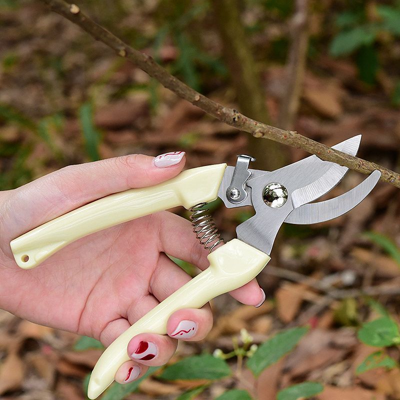 Gardening Tools Rake - 省力型ガーデン剪定鋏、枝、花茎、果樹の剪定用プロ用ハンドプルーナー、高耐久性