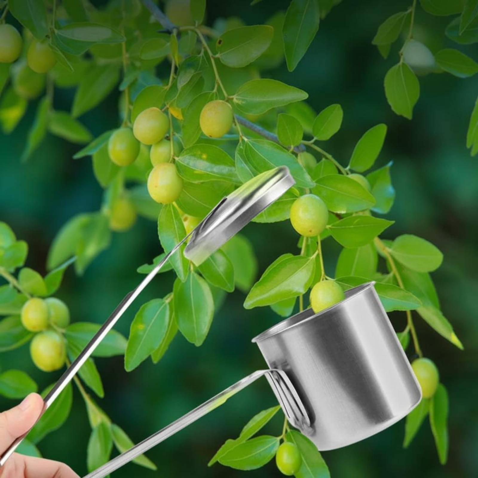 Gardening Tools And Uses - カップフルーツピッカー ステンレス鋼製フルーツピッキングツール ガーデンギア 全金属製 使いやすい
