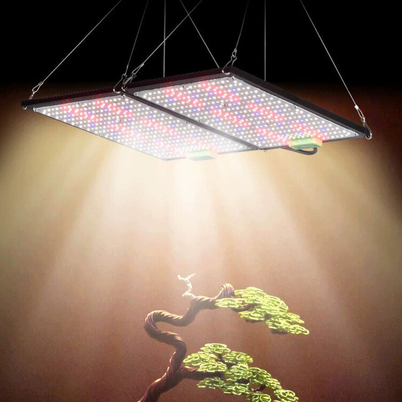 LED量子ボード育成ライト フルスペクトラム 吊り下げ式植物 - Led Grow Light のレビューと価格