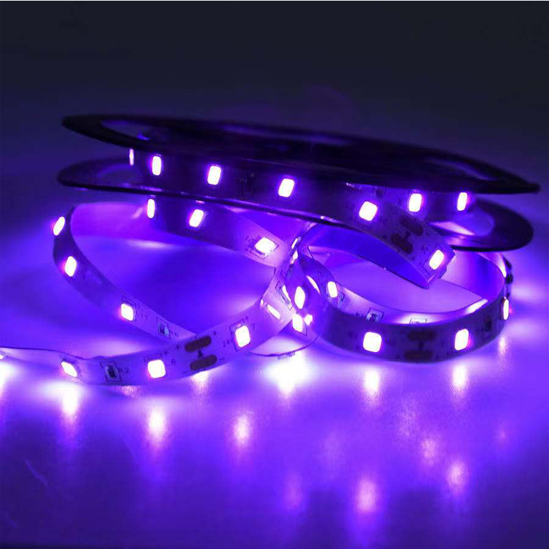 UV LED 紫外線ライト、ブラック UV ランプ、SMD  - Led Grow Light のレビューと価格