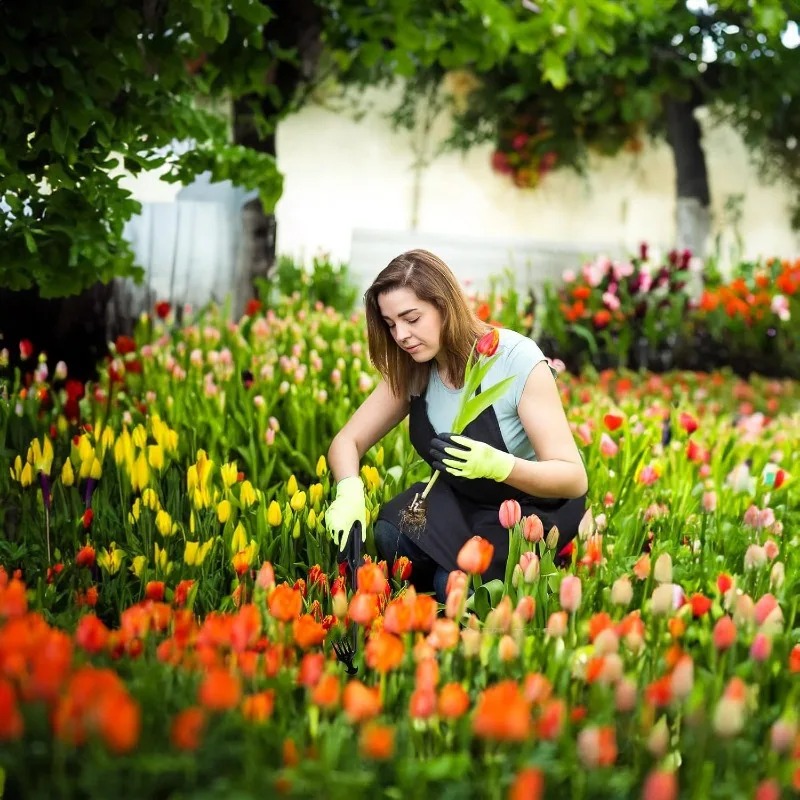 2in1ガーデンレーキ手動種子草根除去ツールプーラーシャベル - Gardening Tools Rake のレビューと価格