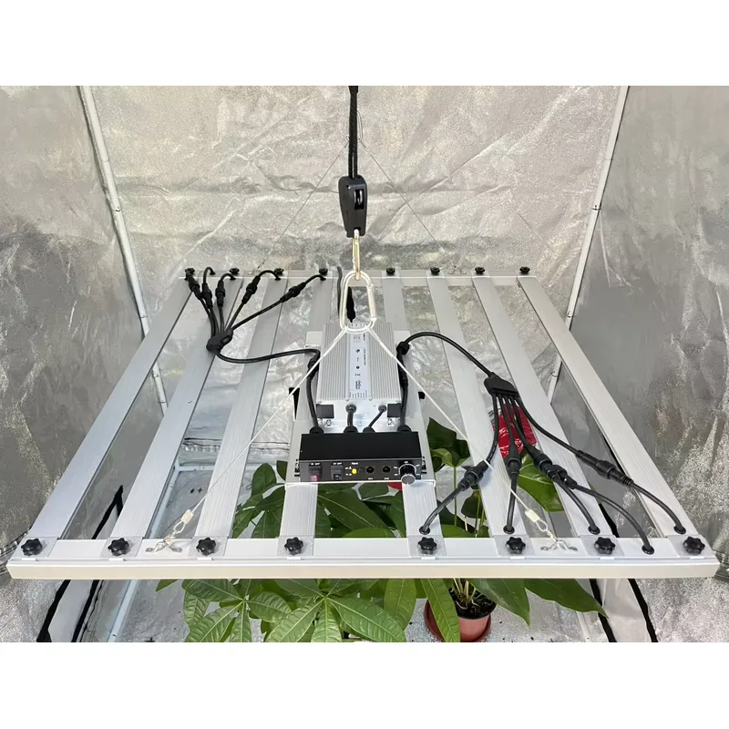 600W育成ライト用ドライバー Inventronics 0 - Led Grow Light のレビューと価格