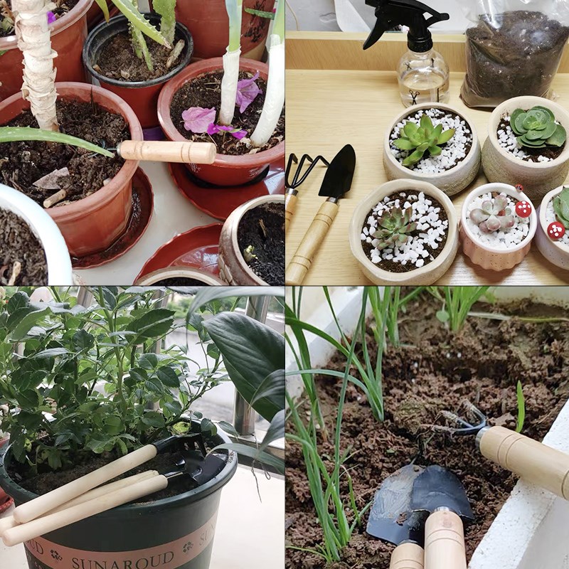 3PC/1 セットミニガーデニングツールセットポータブル小型 - Gardening Tools Rake のレビューと価格