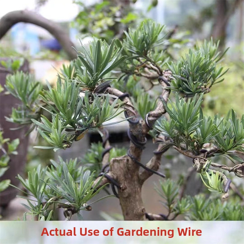1.5MM盆栽ワイヤー アルミ盆栽トレーニングワイヤー モデ - Gardening Tools And Uses のレビューと価格