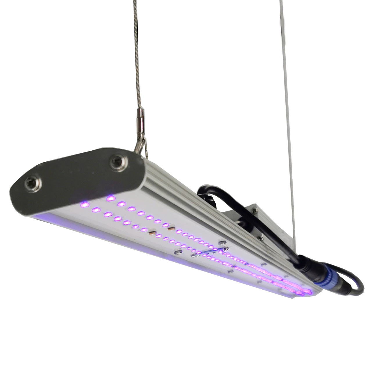 DANSE LED手動調光式LED育成ライト30W 2フィー - Led Grow Light のレビューと価格