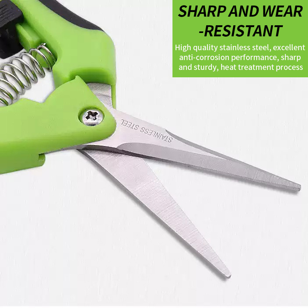 先端が尖った果物摘み取り用ハサミ 1個入り スプリングリセッ - Gardening Tools And Uses のレビューと価格