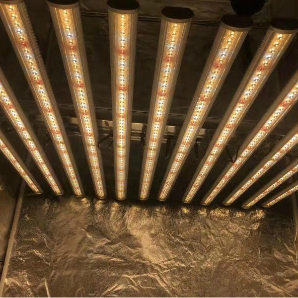 LUX中国工場製LED植物育成ライト12バー660w 100 - Led Grow Light のレビューと価格