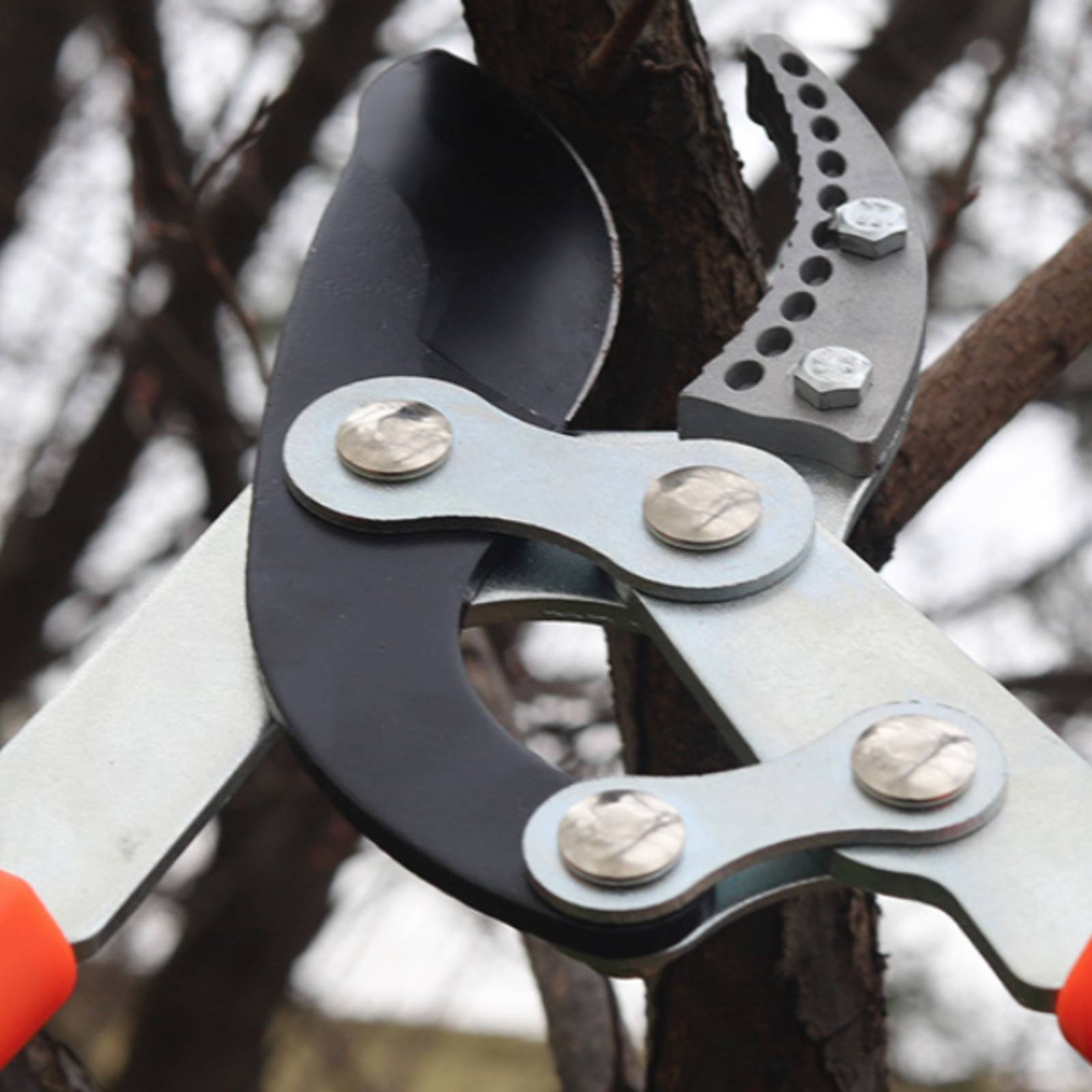 伸縮式枝切り鋏 シャープブレード 頑丈な木剪定鋏 剪定鋏 快 - Gardening Tools Of のレビューと価格