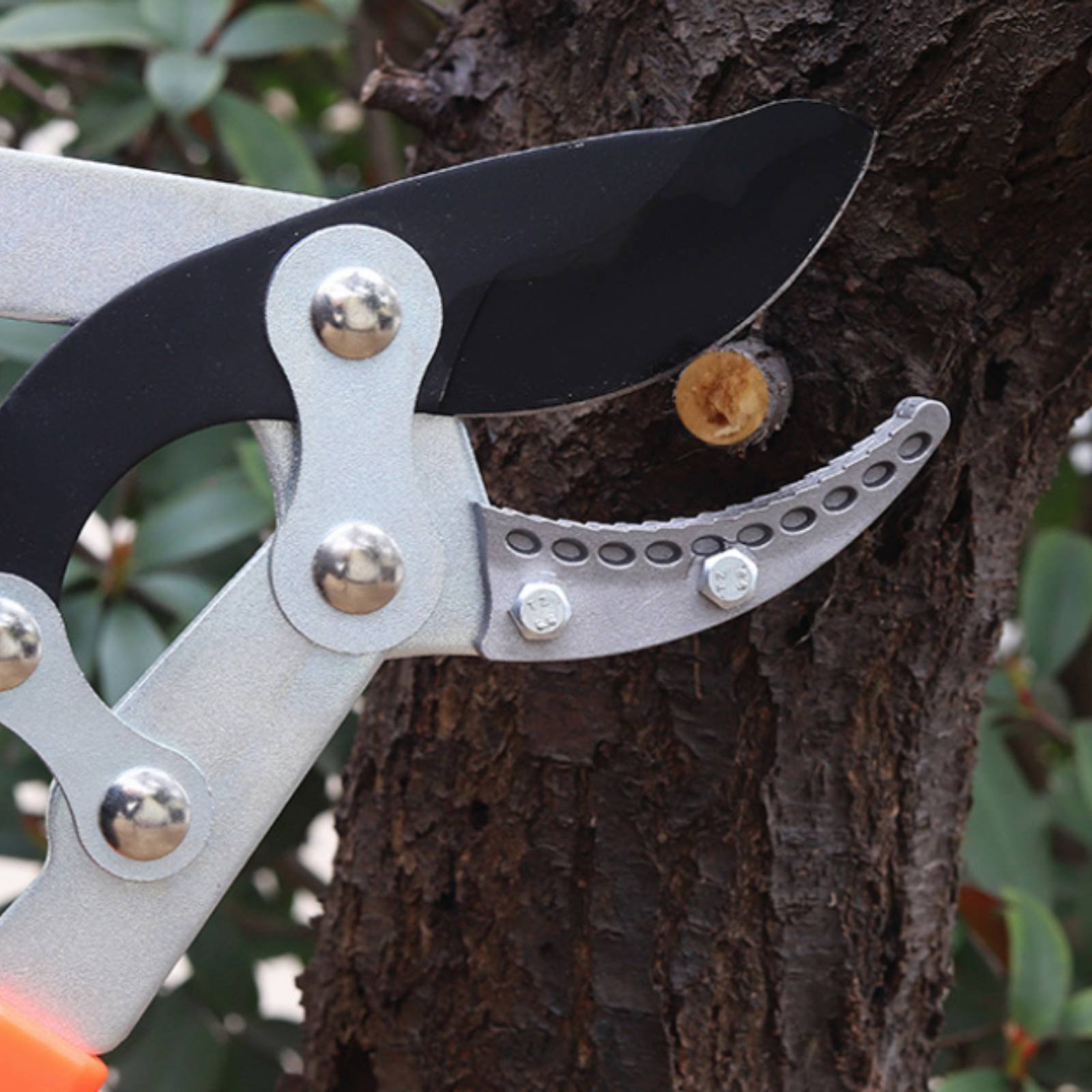 伸縮式枝切り鋏 シャープブレード 頑丈な木剪定鋏 剪定鋏 快 - Gardening Tools Of のレビューと価格