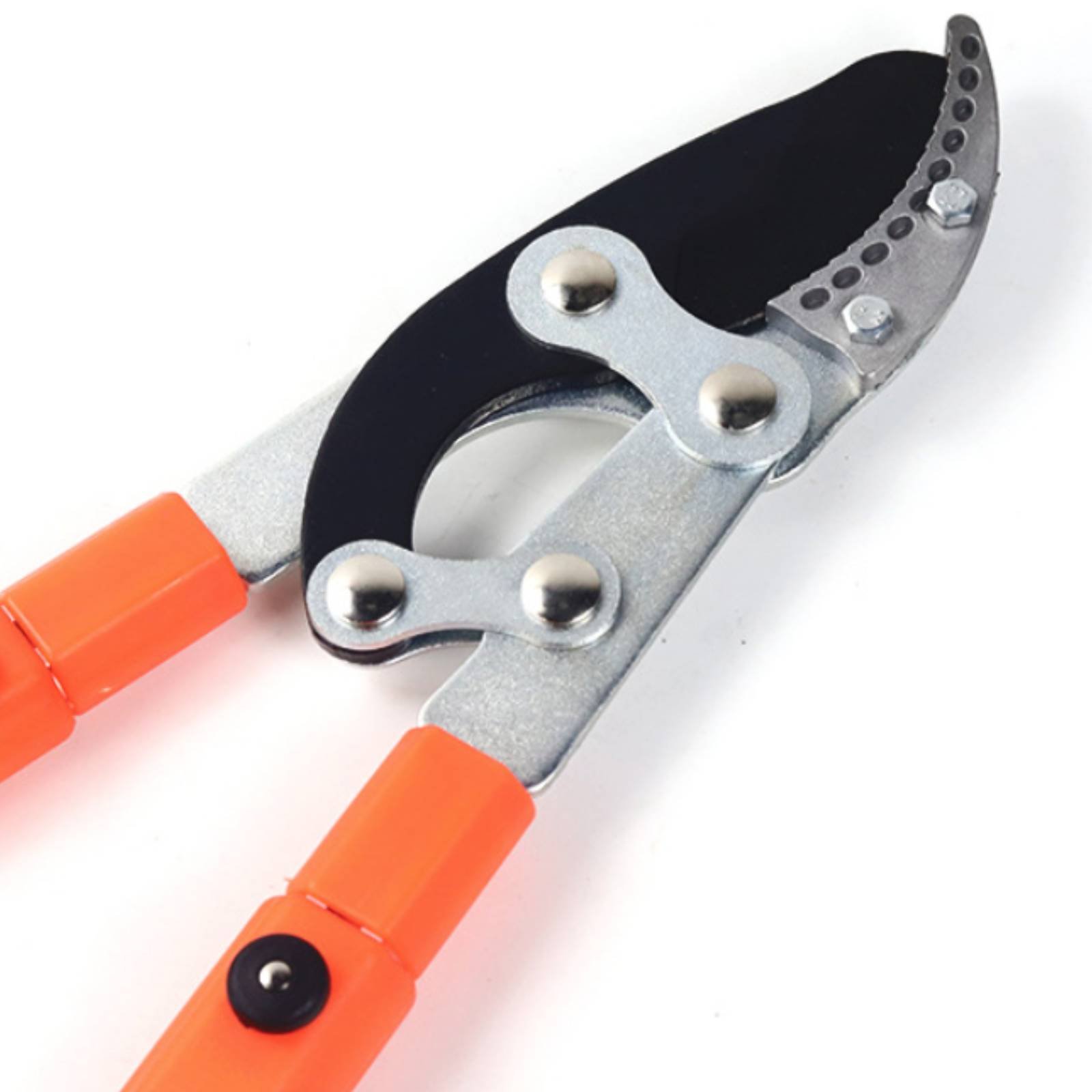 伸縮式枝切り鋏 シャープブレード 頑丈な木剪定鋏 剪定鋏 快 - Gardening Tools Of のレビューと価格