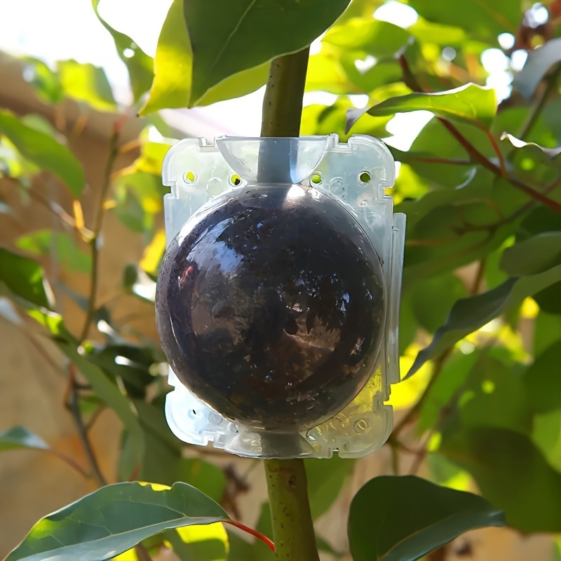10個入り高圧植物発根繁殖ボックスキット、庭園用圧力ボール付 - Gardening Tools And Uses のレビューと価格