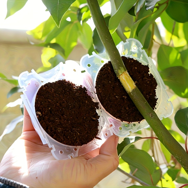 10個入り高圧植物発根繁殖ボックスキット、庭園用圧力ボール付 - Gardening Tools And Uses のレビューと価格